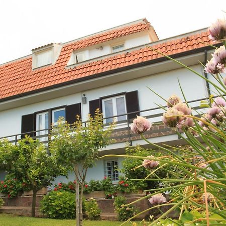 La Casa Di Iole Διαμέρισμα Cogna Εξωτερικό φωτογραφία