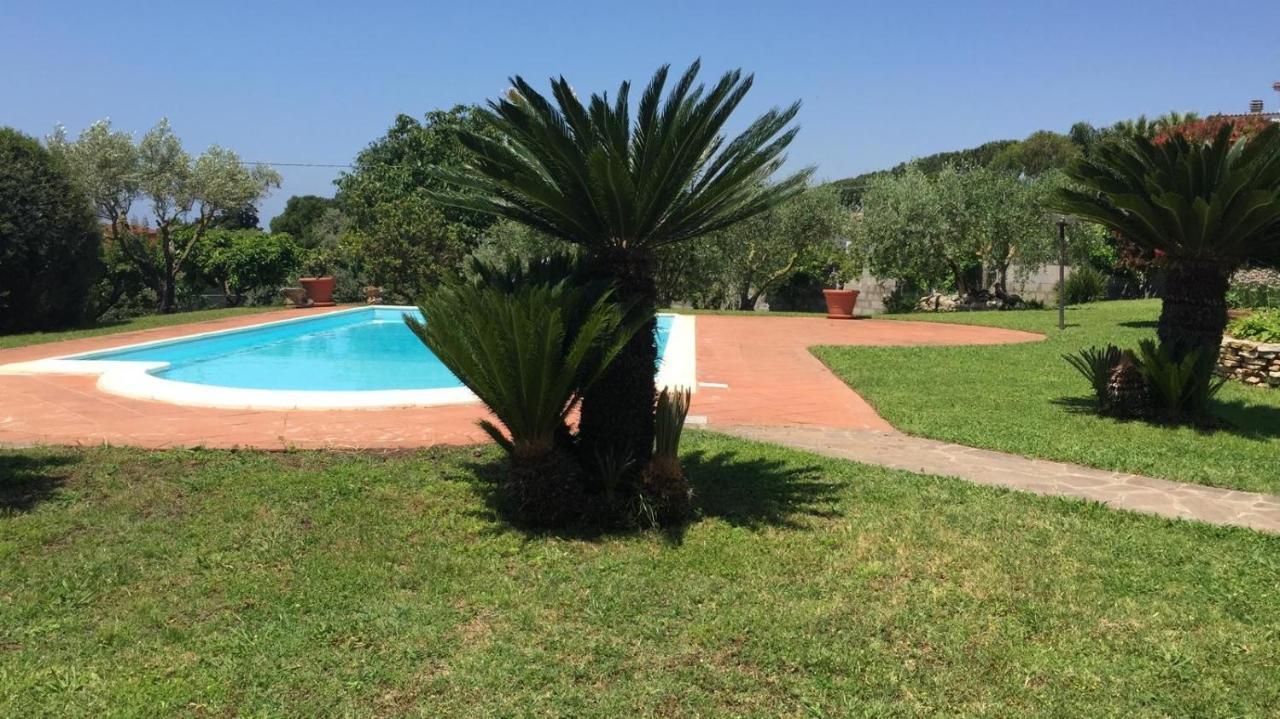La Casa Di Iole Διαμέρισμα Cogna Εξωτερικό φωτογραφία