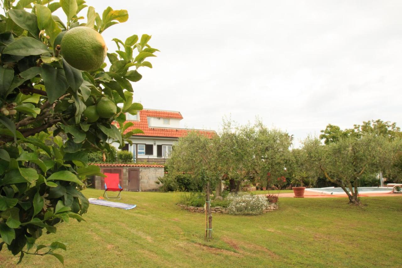 La Casa Di Iole Διαμέρισμα Cogna Εξωτερικό φωτογραφία